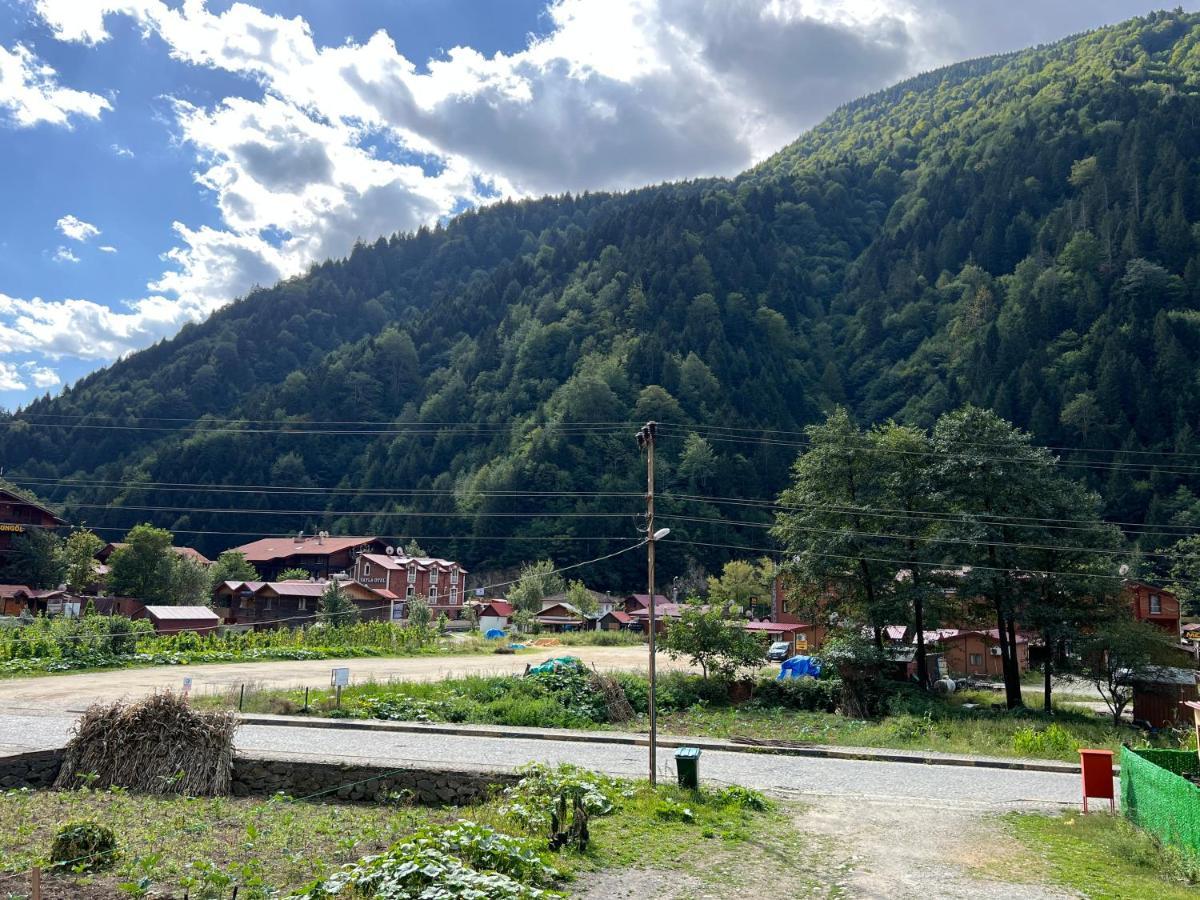 Karadeniz Apart Otel Uzungöl Exterior photo