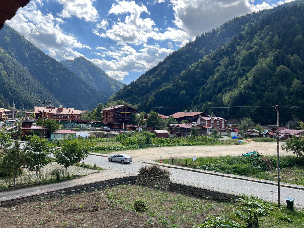 Karadeniz Apart Otel Uzungöl Exterior photo